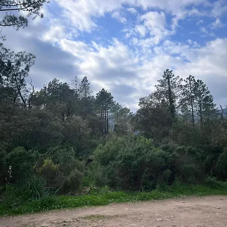 De Terra Macchia